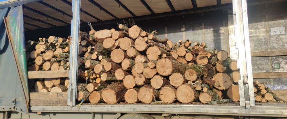 Продаємо дрова твердих порід Балта. Доставка по району