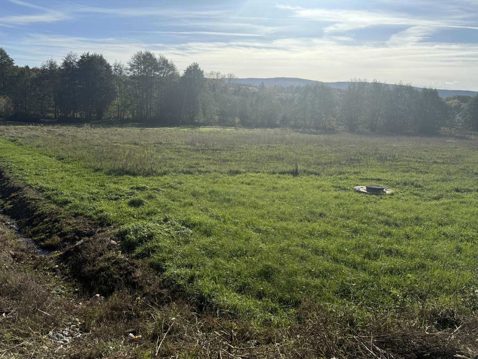 Atrakcyjna działka 423/1– 15 arów – dom + działalność w jednym miejscu