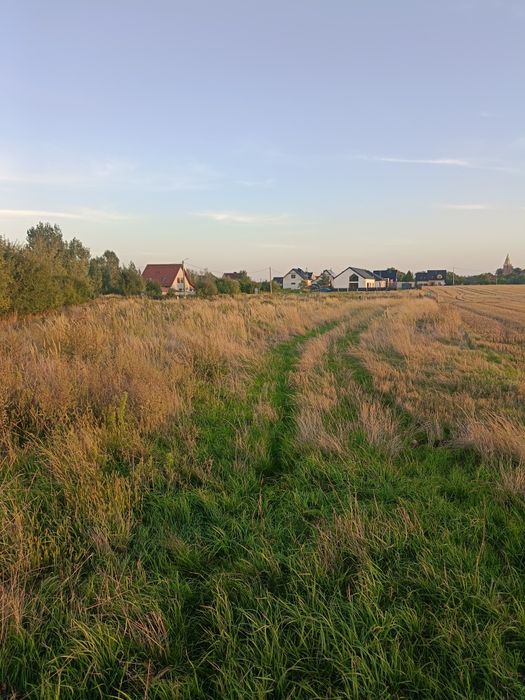 Działka Brzezina
