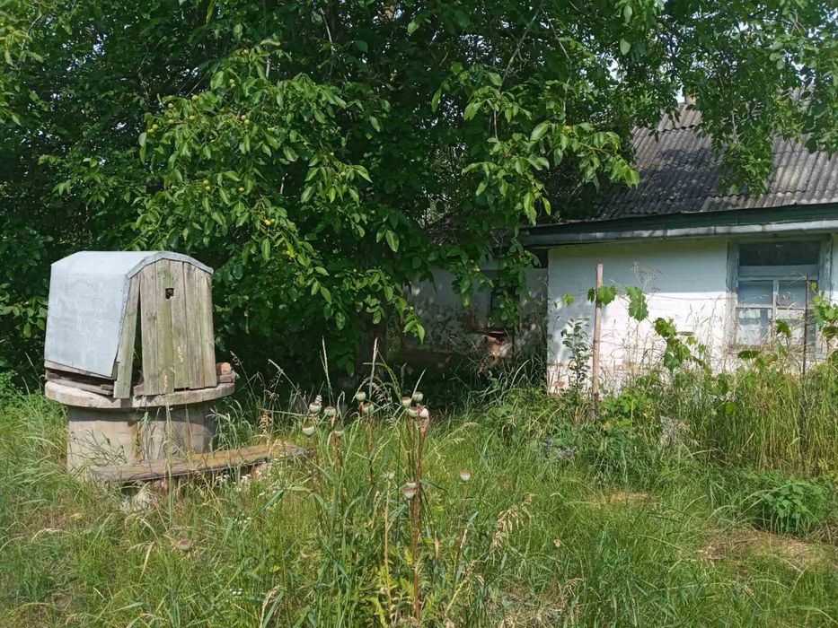 Продам земельну ділянку (дачу)