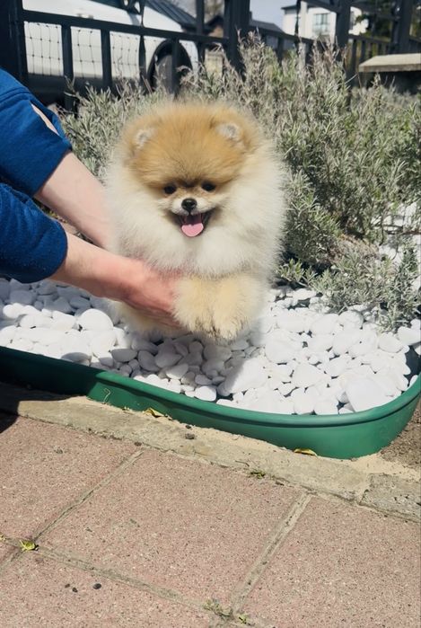 Неймовірна дівчинка