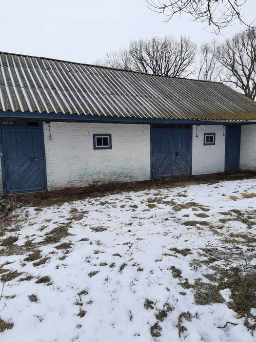 Дом в 4 км от Козельца