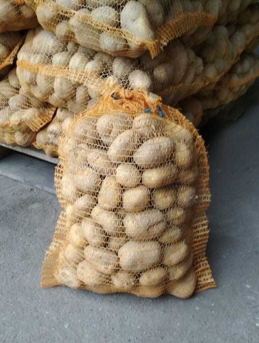 Ziemniaki Denar  Colomba ładne grube