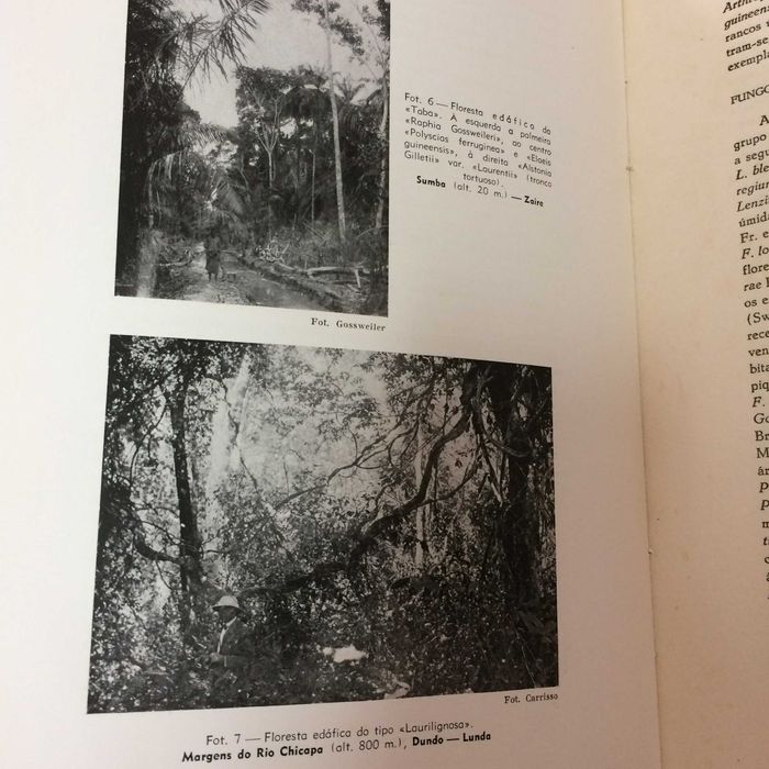 Livro Carta fitogeográfica de Angola