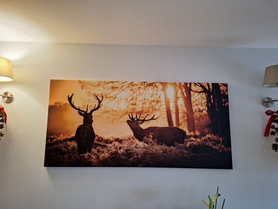 Fotoobraz obraz z jeleniami jeleń 170x80cm