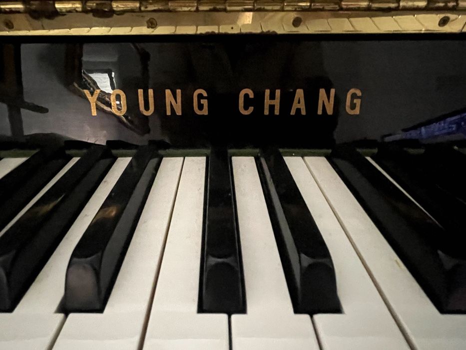 Piano Young Chang Preto brilhante