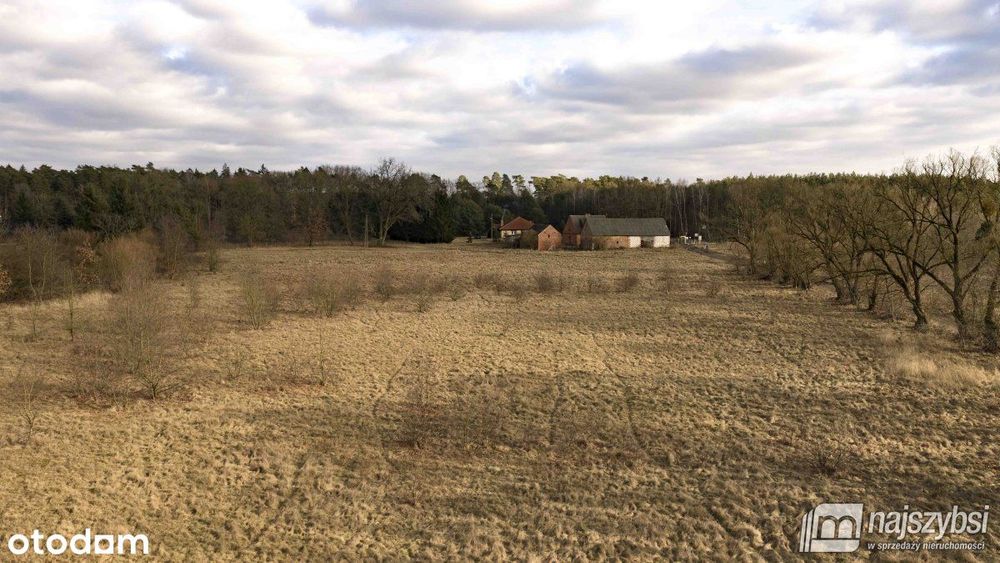 Krępsko - działka 3000 m2 otoczona naturą