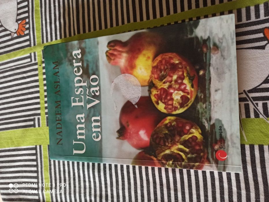 Uma espera em vão - Nadeem Aslam