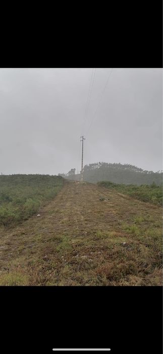 Limpeza de terrenos, corta mato, abate de arvores