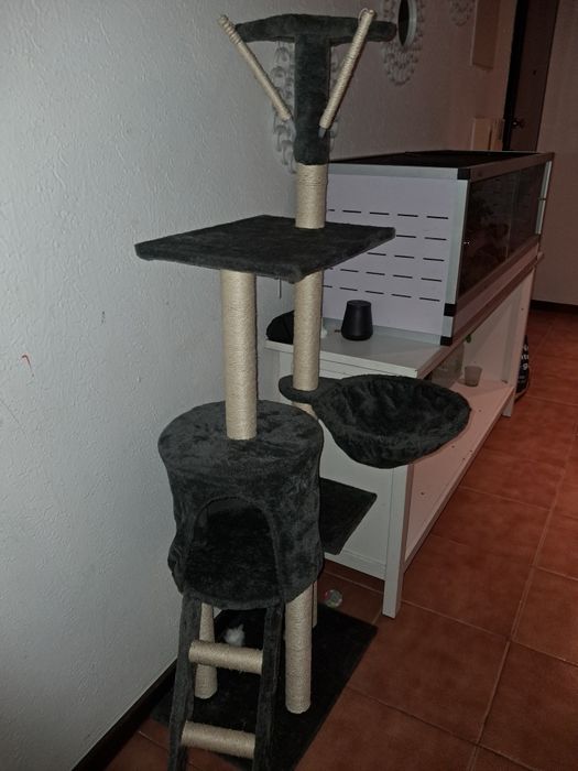 Arranhador de gato