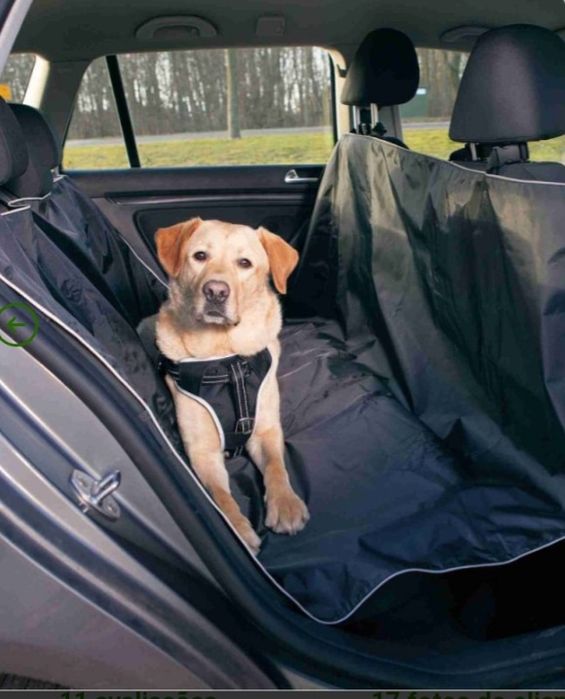Proteção para transportar animais no automóvel. Novo oportunidade.