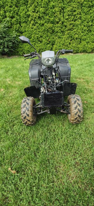 Quad 250 Shenke 2010