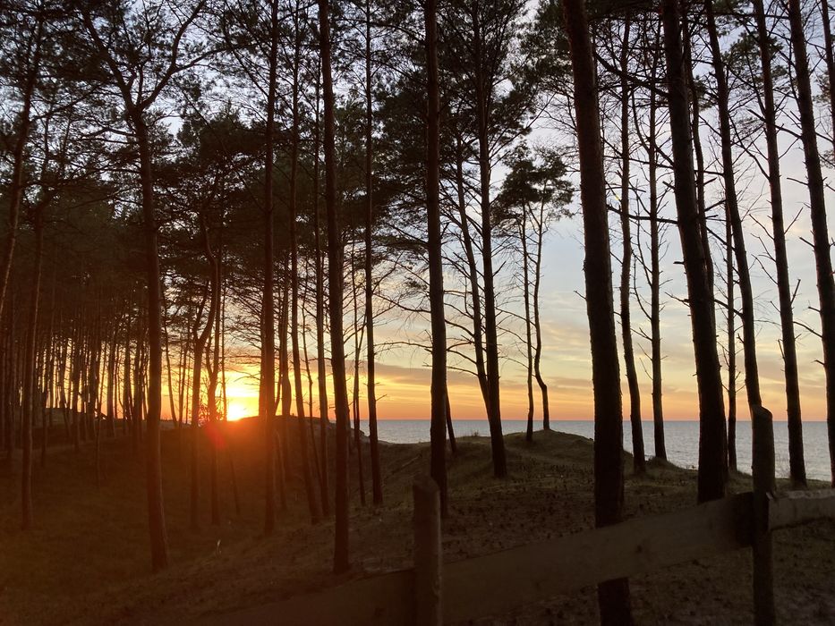 Domek pod lasem, nad morzem, Pogorzelica