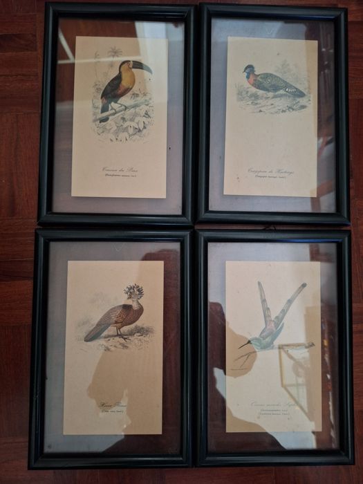 Conjunto de 4 Quadros