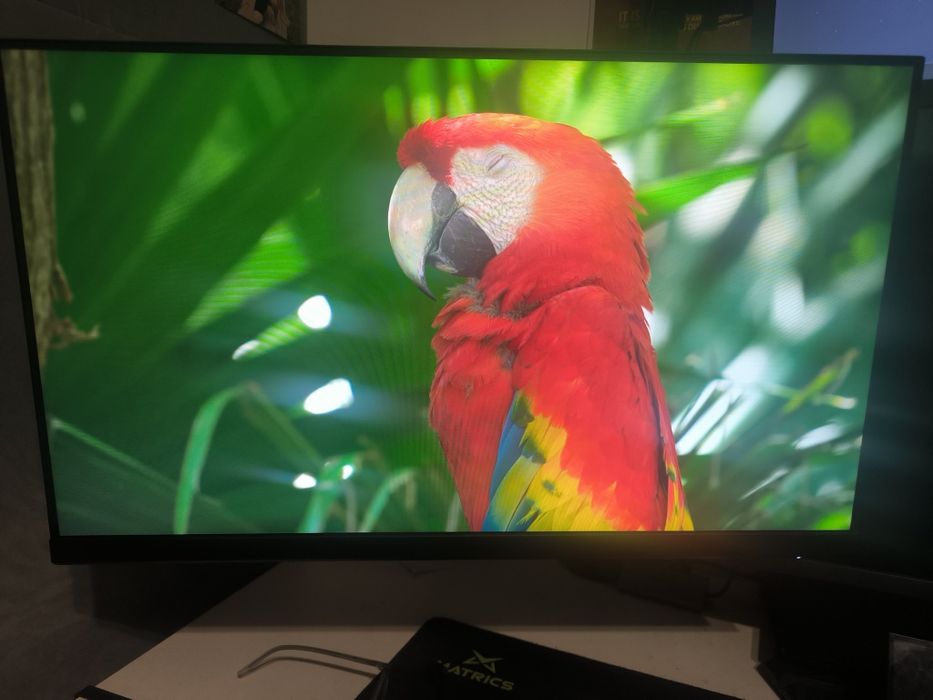 Monitor MSI Optix G271 27" LED IPS FullHD 144Hz FreeSync