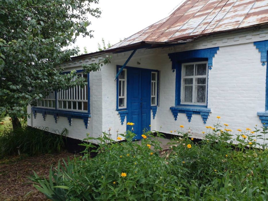 Хата Білоцерківський район