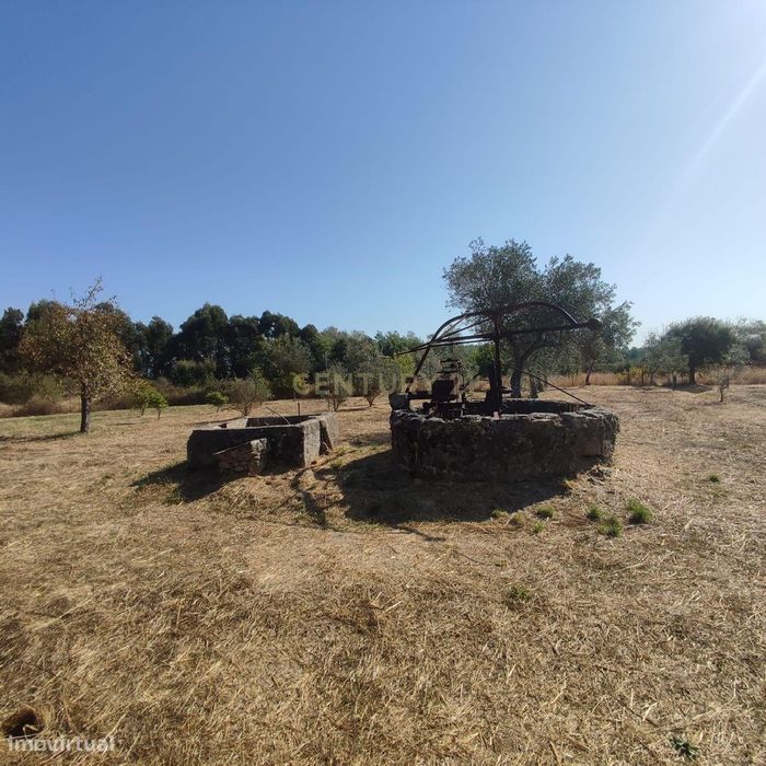 Terreno Rústico com 4625m2 na Lardosa, Castelo Branco — Lardosa, Castelo Branco