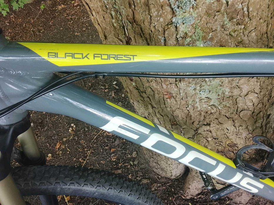 MTB Fokus black forest