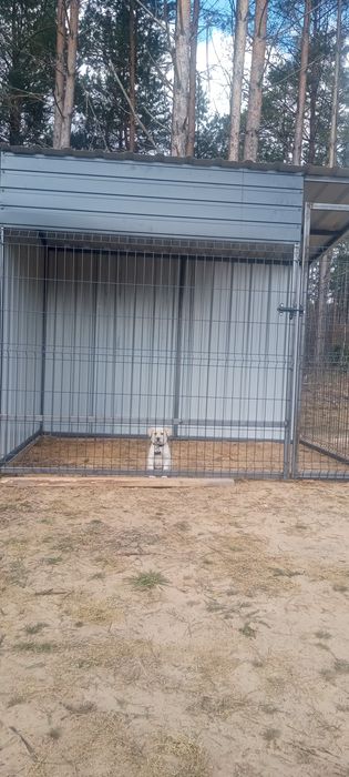 Kojec klatka boks dla psa