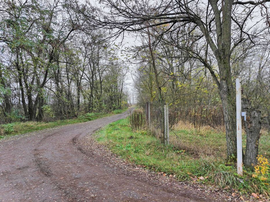 Ділянка 6 соток в лісі, підійде під модульний дім, 25 хв від Києва | Музичі
