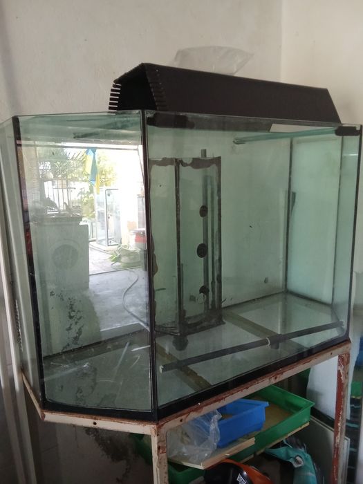 Aquário com Estrutura+ OFERTAS