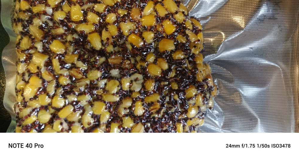 Mix kukurydza rzepik