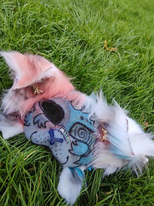Maska koteła szarego