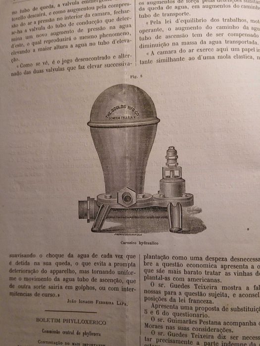 Gazeta dos Lavradores, Julho de 1881