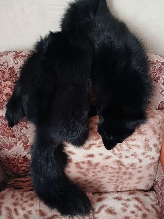 Шкурка-чулок песцовый