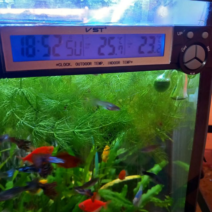 Продам температурний термоматр