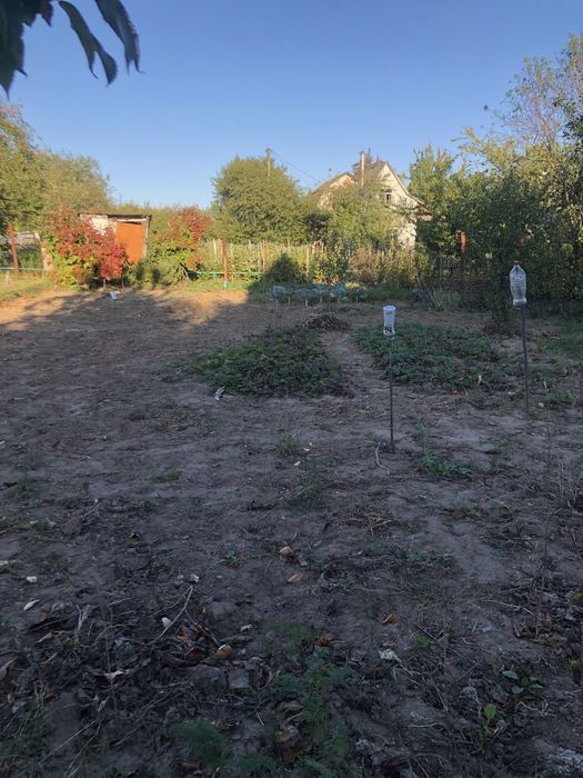 Продам дачну ділянку