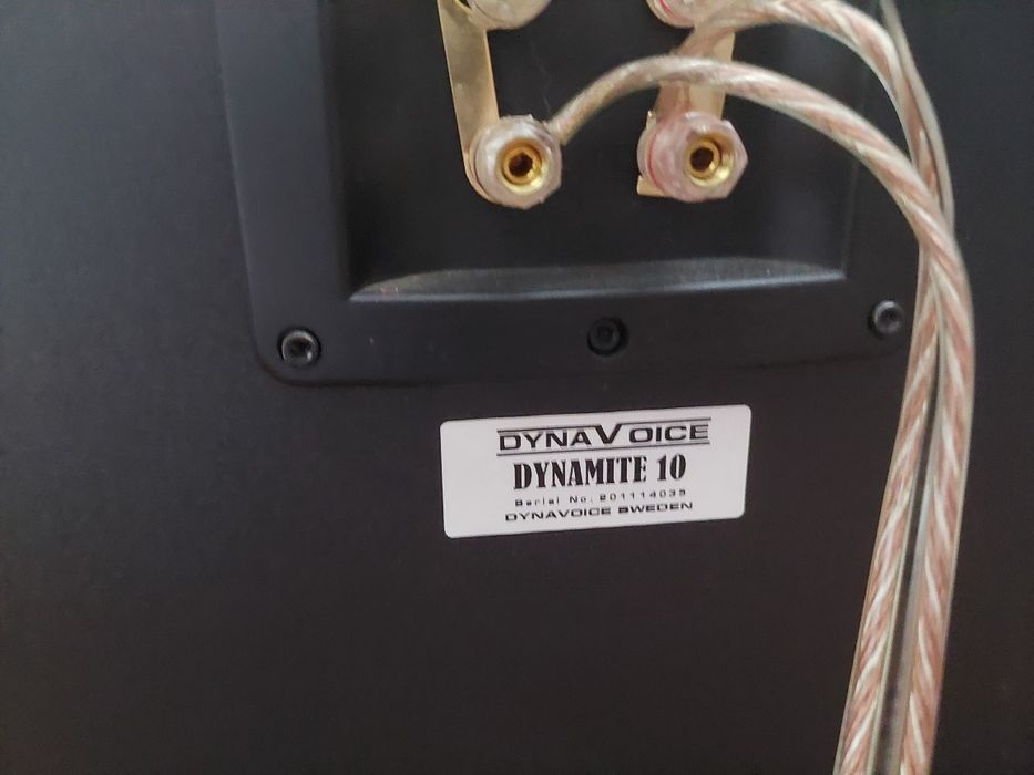 Kolumny Dynavoice Dynamite 10