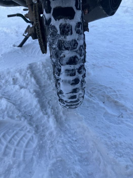 Продам альфа мустанг