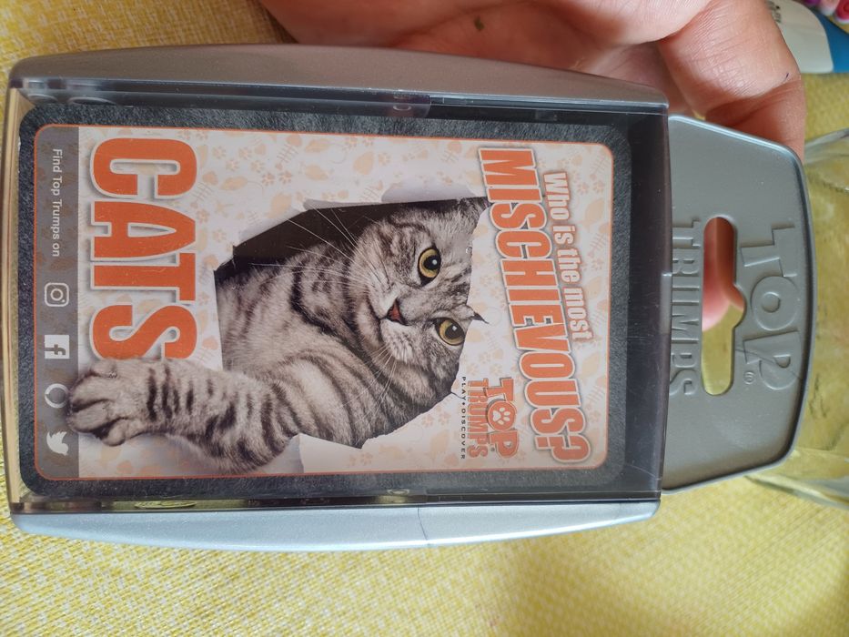 Карточки Top Trumps котики. Who is the most mischievous? Cats. Новые
