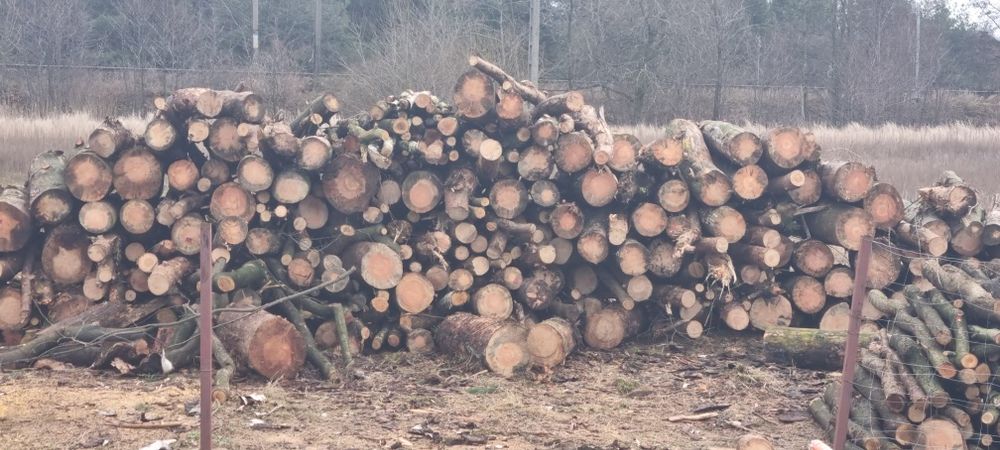 Drewno opałowa sucha