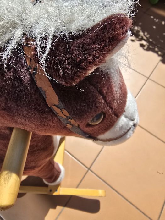Konik na biegunach