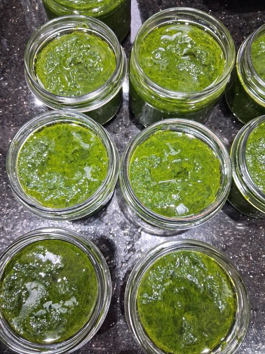 Czosnek niedźwiedzi pesto 3 sztuki