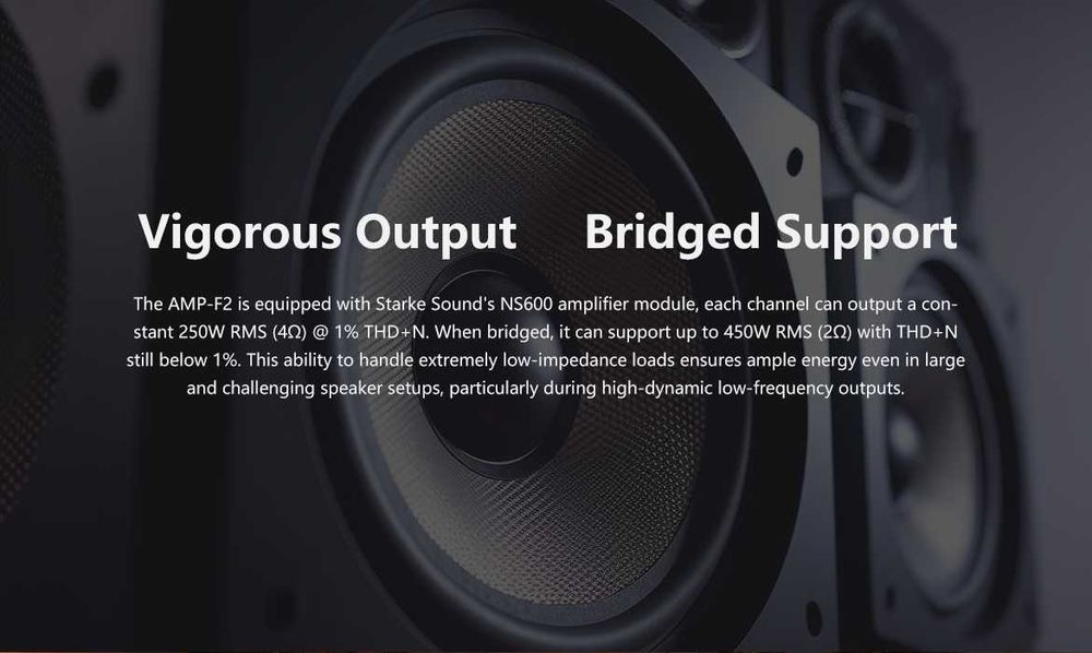 Eversolo AMP-F2 Końcówka mocy 250W MONO STEREO OUTLET SKLEP RATY
