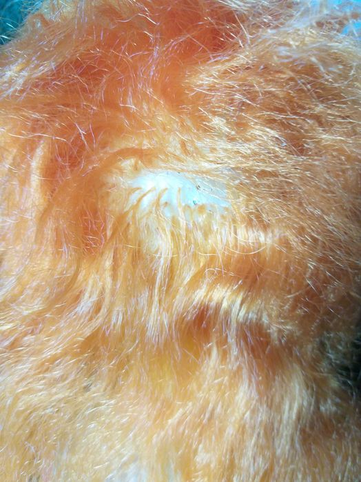 Прода  куклу СССР