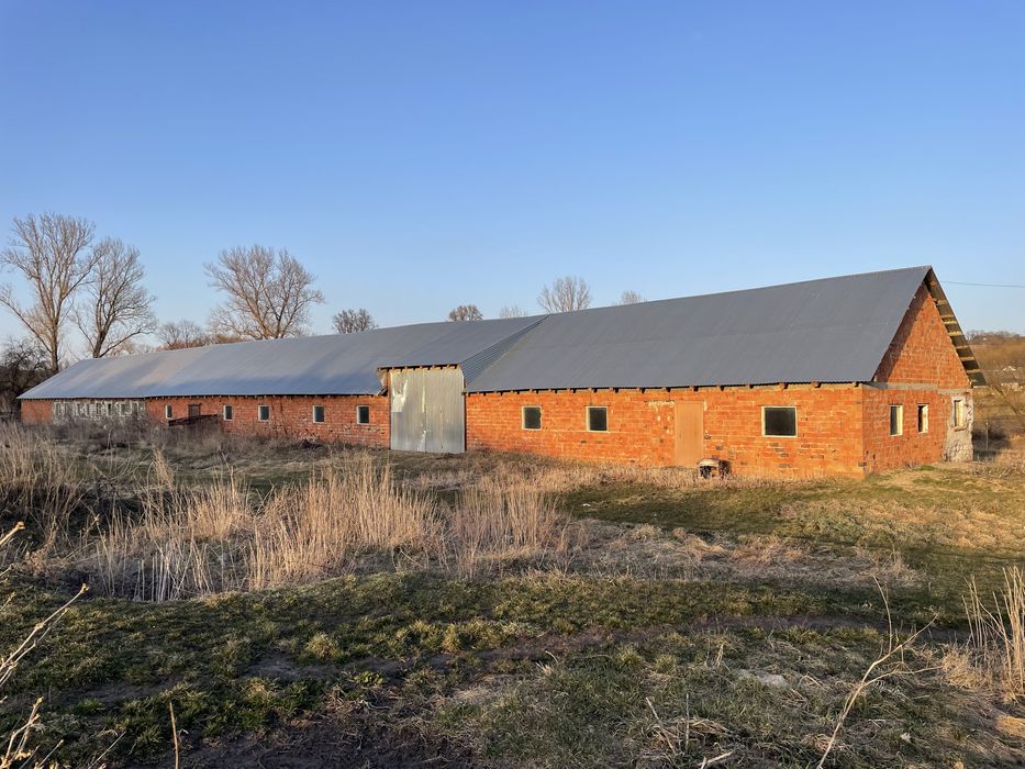 Продам ферму 750 кв. Глибоцький район