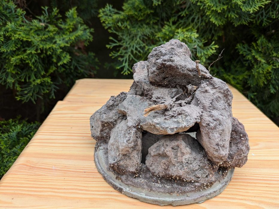 Grota z lawy wulkanicznej z korzeniem