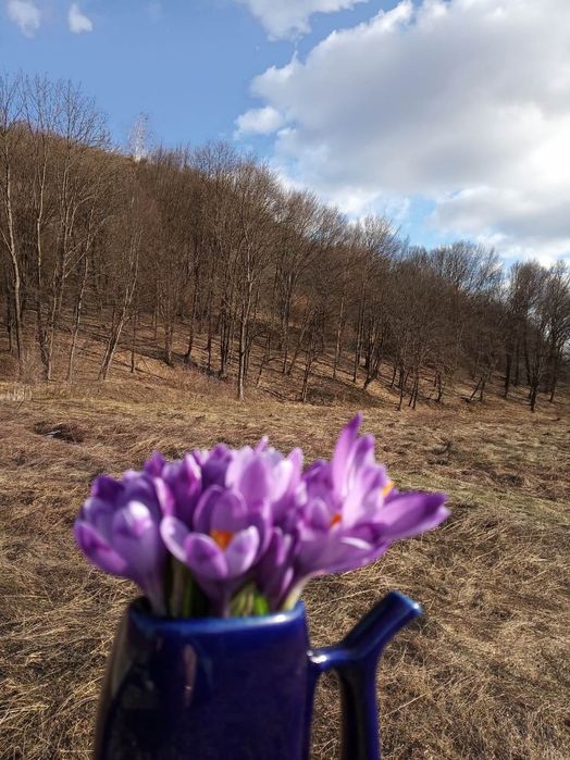 Фасадна земельна ділянка , мінеральна вода «Поляна Квасова»