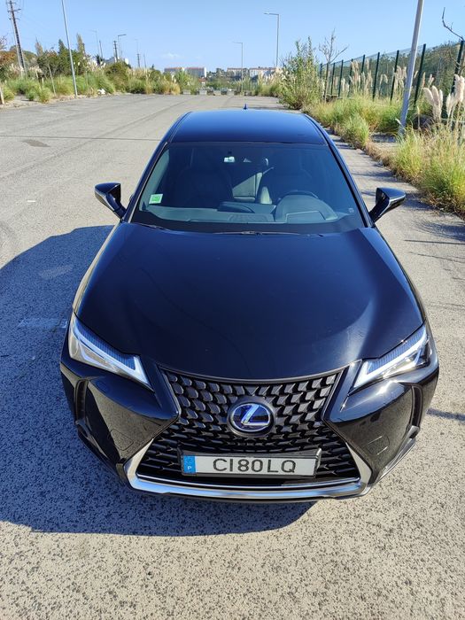 LEXUS   UX 300 E