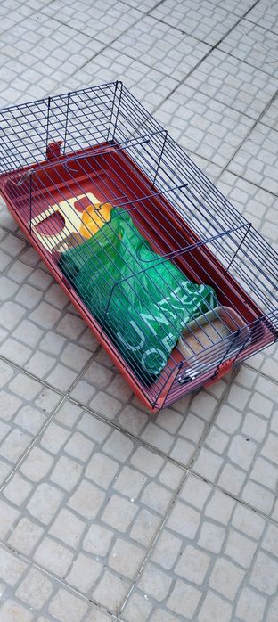 Gaiola para hamster como nova