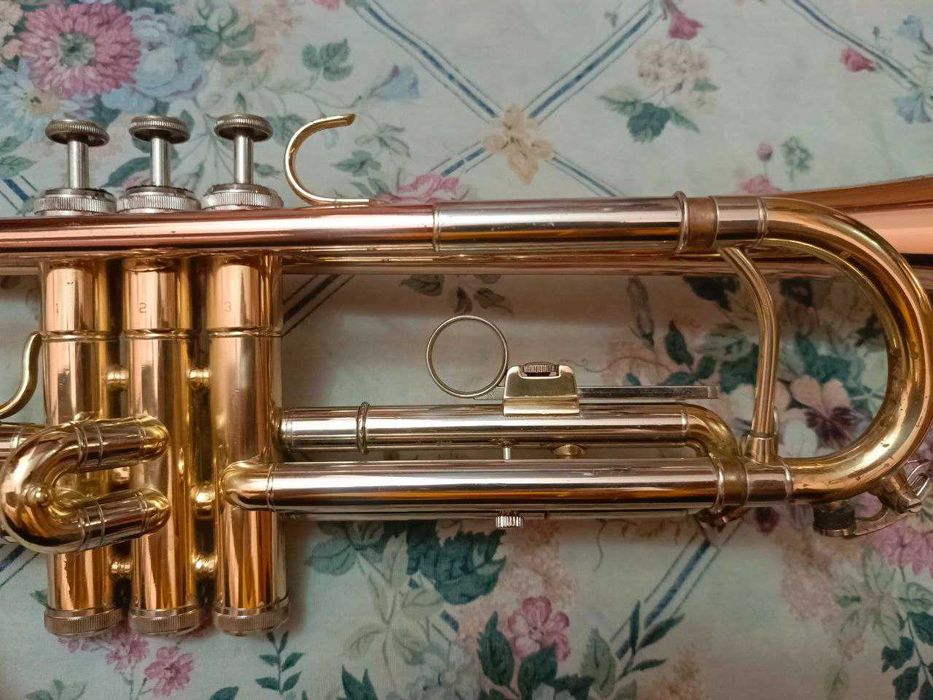 Труба Roy Benson