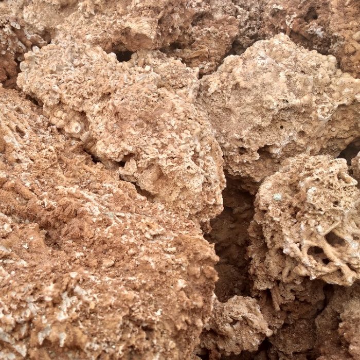 Spaghetti brązowe/ Spaghetti Green, zielone, kamień do akwarium