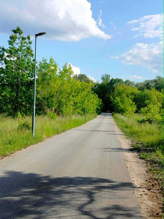 Zdjęcie 6