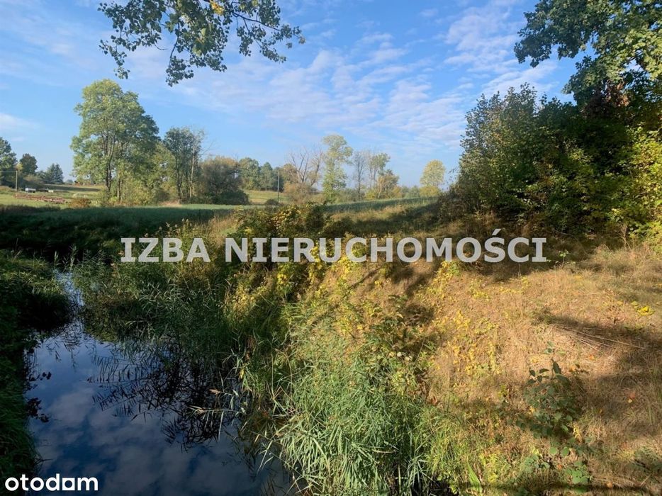 Działka, Bienie - Widok 4