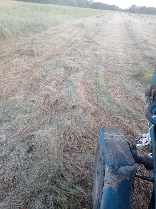 продам сіно лугове