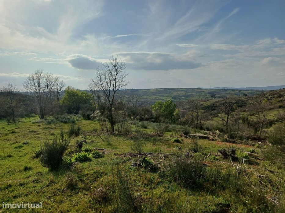 Quinta situada em plena natureza
